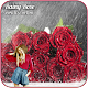 Download Rainy Rose Photo Editor For PC Windows and Mac 1.1