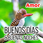 Cover Image of Download Spanish Good Morning & Good Night Wishes Love 8.09.18.2 APK