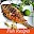 Fish recipes Download on Windows