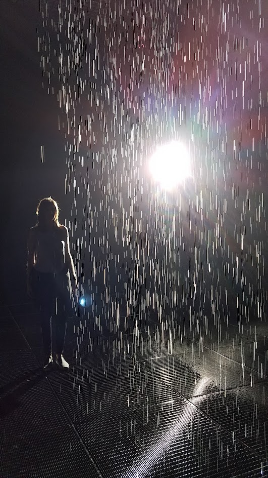 Rain Room by art collective Random International. The timed tickets limited viewers to a small group for 15 minutes. During that time, the audience is treated to a dark room illuminated with dramatic spotlight and torrents of rain controlled by technology that senses where a person is and makes it stop raining where you stand but continues to fall around you.