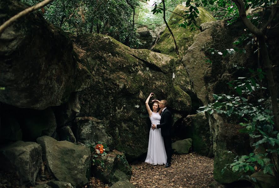 Photographe de mariage Ivan Tulyakov (dreamphoto). Photo du 4 décembre 2016