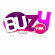 Download Buzy FM For PC Windows and Mac 1.0