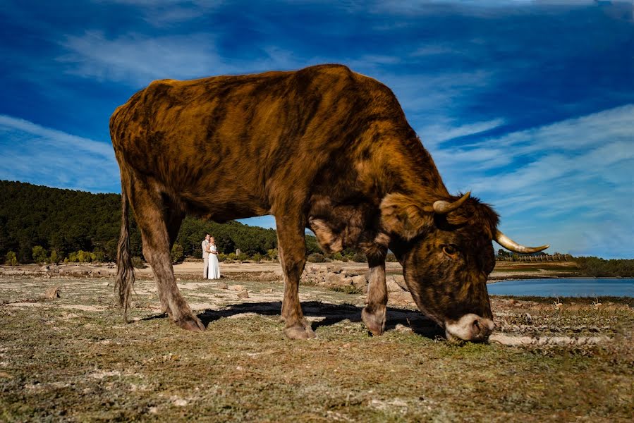 Svadobný fotograf Sonnia Martínez (sonniamartinez). Fotografia publikovaná 29. apríla 2020