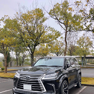 LX