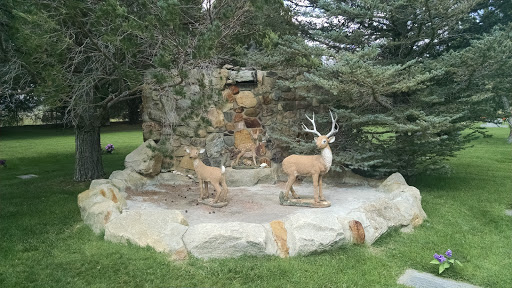 Deer Family