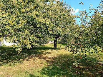 terrain à Chenoise (77)