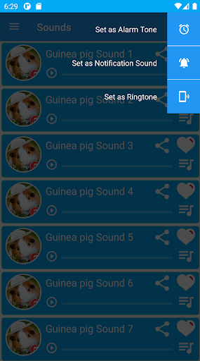 Guinea pig Sounds