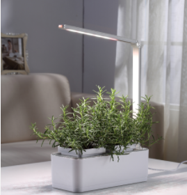 Title 6, Clean & Beautiful Hydroponic Self-Absorbent Her...