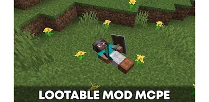 Download Player Model Mod For MCPE FREE android on PC