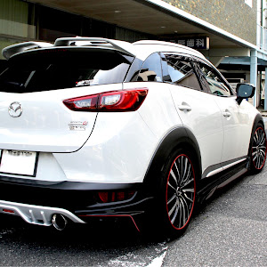 CX-3 DK5AW