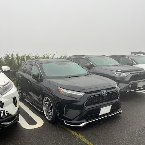 RAV4 AXAP54