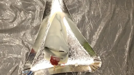 Kulfi Choco Paan