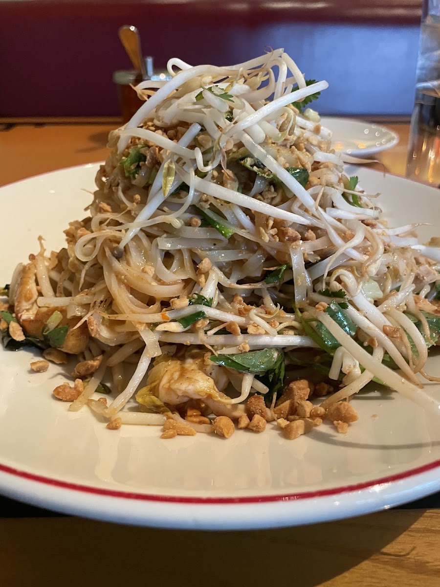 Chicken pad Thai