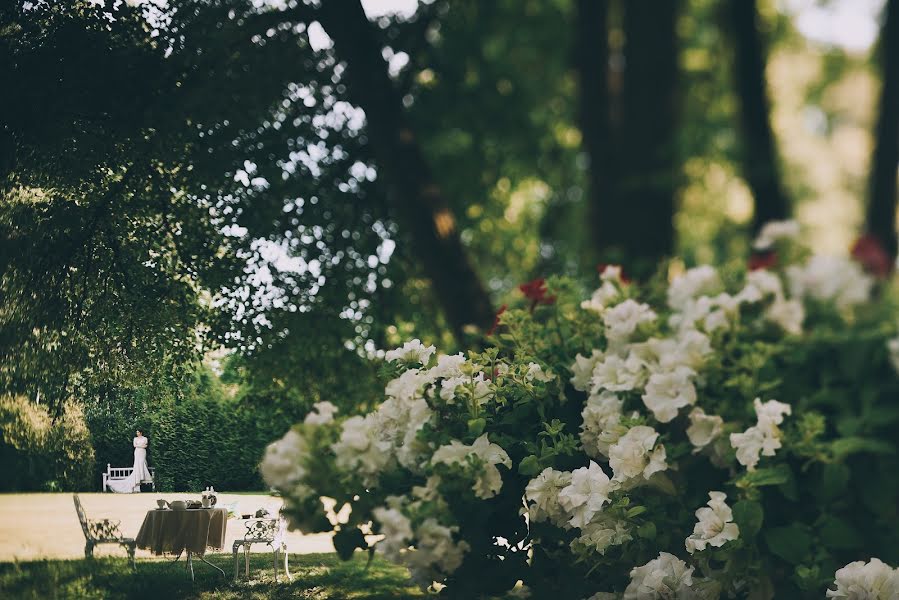 Fotografo di matrimoni Sergey Zaporozhec (zaporozhets). Foto del 10 giugno 2015