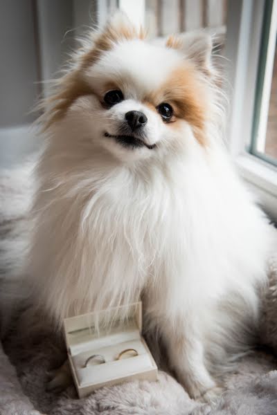 Huwelijksfotograaf Shirley Born (sjurliefotograf). Foto van 20 oktober 2018