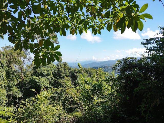 Gunung Angsi