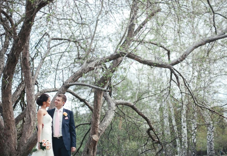 शादी का फोटोग्राफर Svetlana Rogozhnikova (rogozhnikova)। मई 1 2014 का फोटो