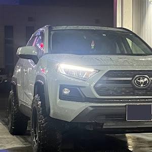 RAV4 MXAA54