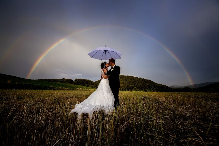 Fotografo di matrimoni Thomas Harris (harris). Foto del 29 luglio 2014