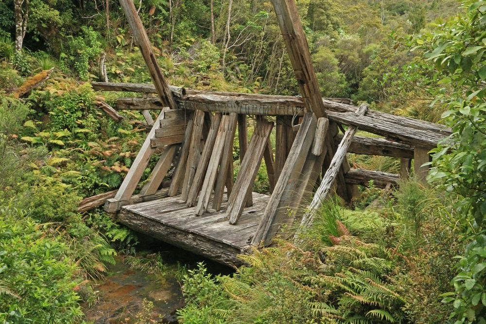 As barragens de kauri da Nova Zelândia