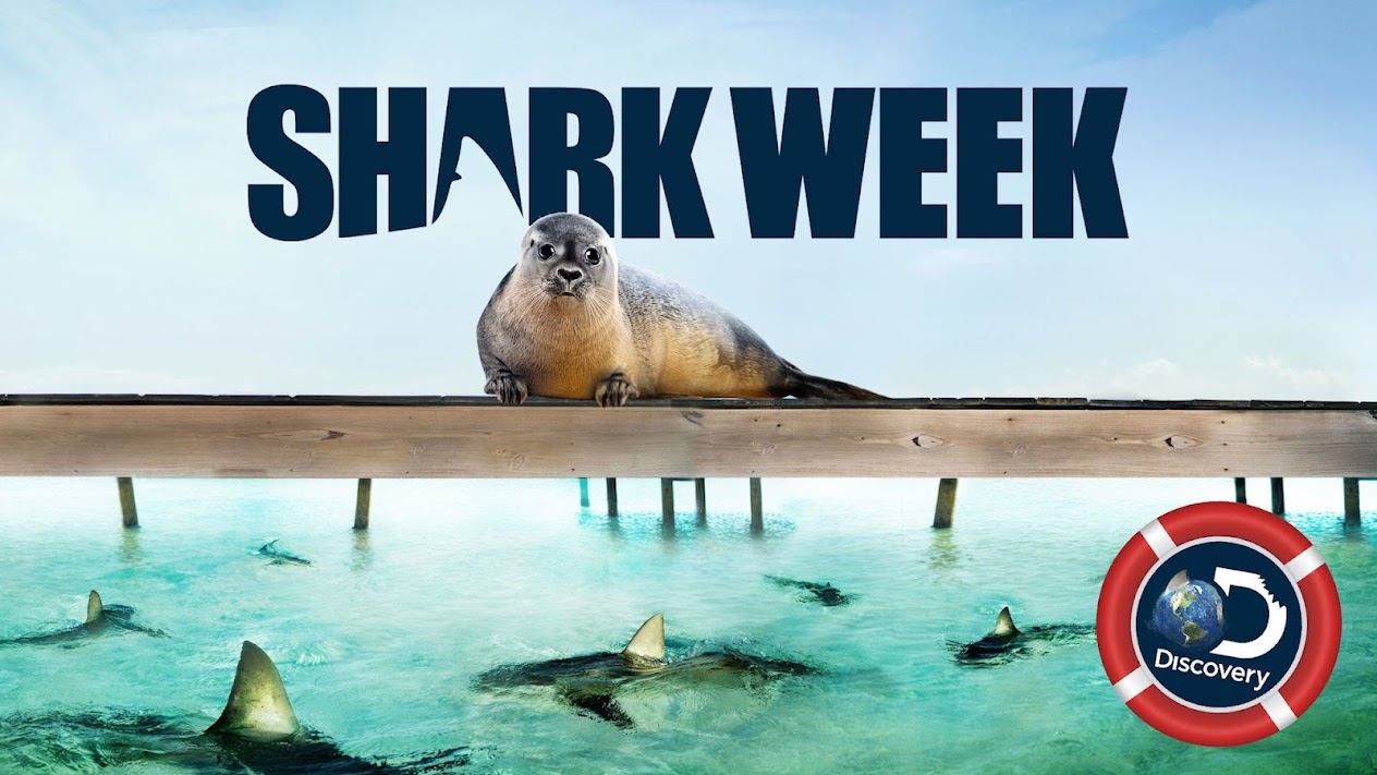 Shark Week Movies & TV on Google Play