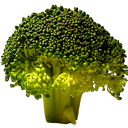 Broccoli, for Terms of Service; Didn't Read