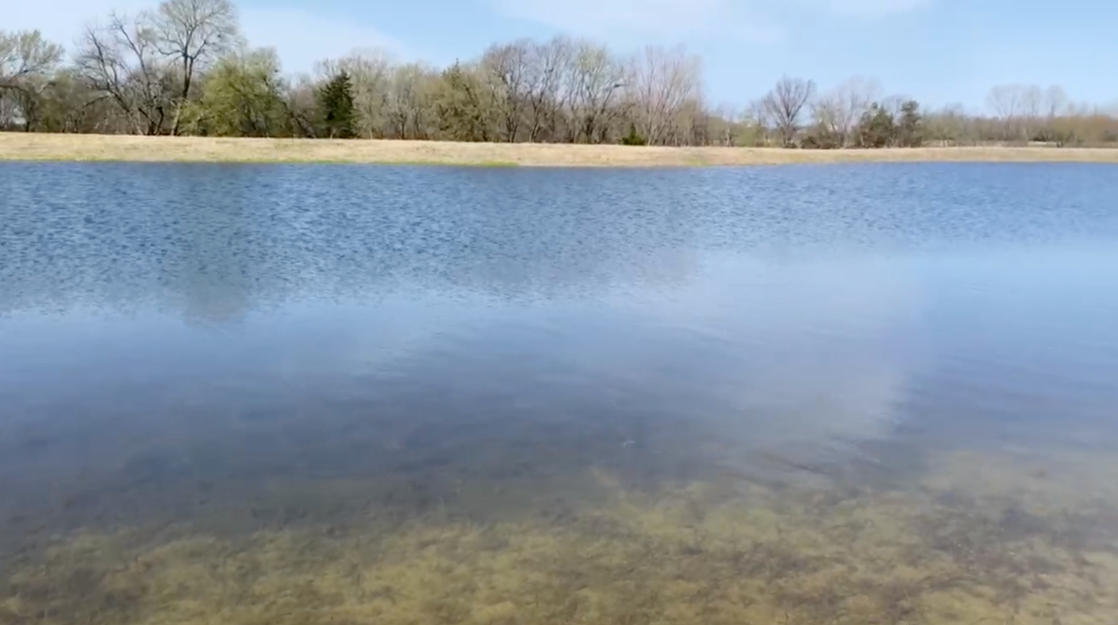 clear pond with no structure