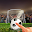 Flick Football Game 2019 Download on Windows