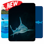 Cover Image of Herunterladen Shark Wallpaper HD New 1.0 APK