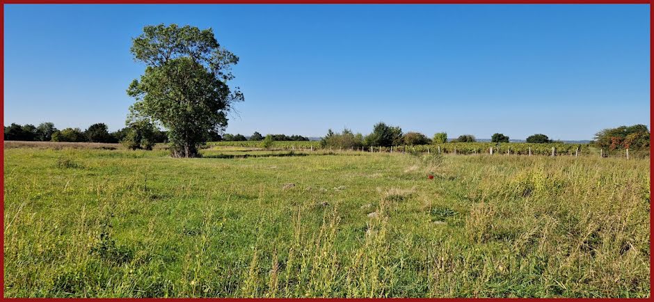 Vente terrain  657 m² à La Chapelle-Basse-Mer (44450), 131 799 €