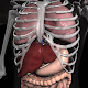 Anatomy 3D: Organs Download on Windows