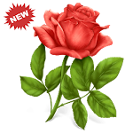 Cover Image of ดาวน์โหลด 🌹 WAStickerApps Flowers 1.2 APK