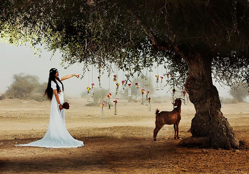 Photographe de mariage Alex Sadeghi (alirezasadeghi). Photo du 14 mars 2020