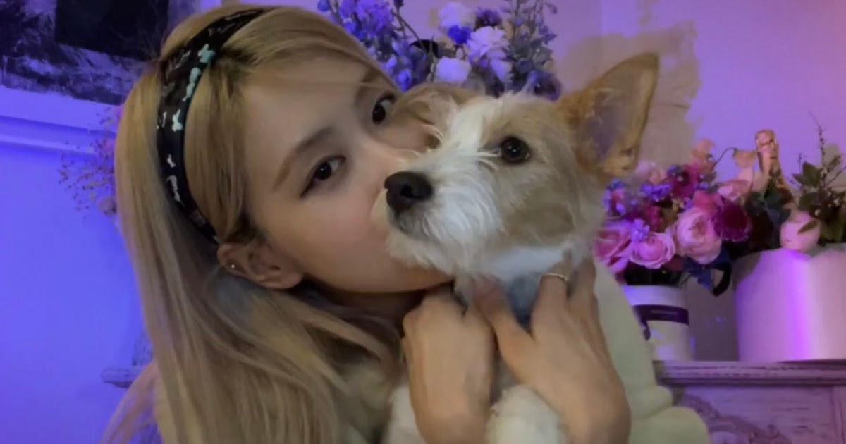 ROSÉ Celebrates Her Dog Hank's Birthday with Adorable Photos