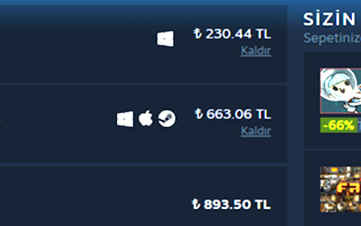 Steam Türk Lirasına Çevirme