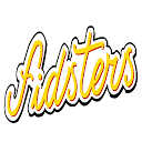 应用程序下载 Fidsters 安装 最新 APK 下载程序