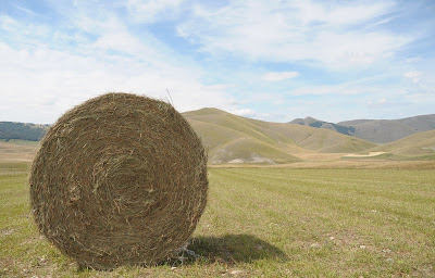 Balla di Fieno di Maspez