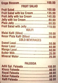 Aditi Juice Centre menu 7