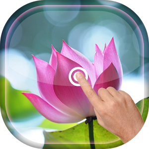 Magic Touch - Lotus LWP  Icon