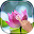 Magic Touch - Lotus LWP Download on Windows