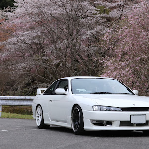 シルビア S14