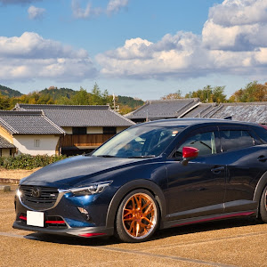 CX-3 DKEFW