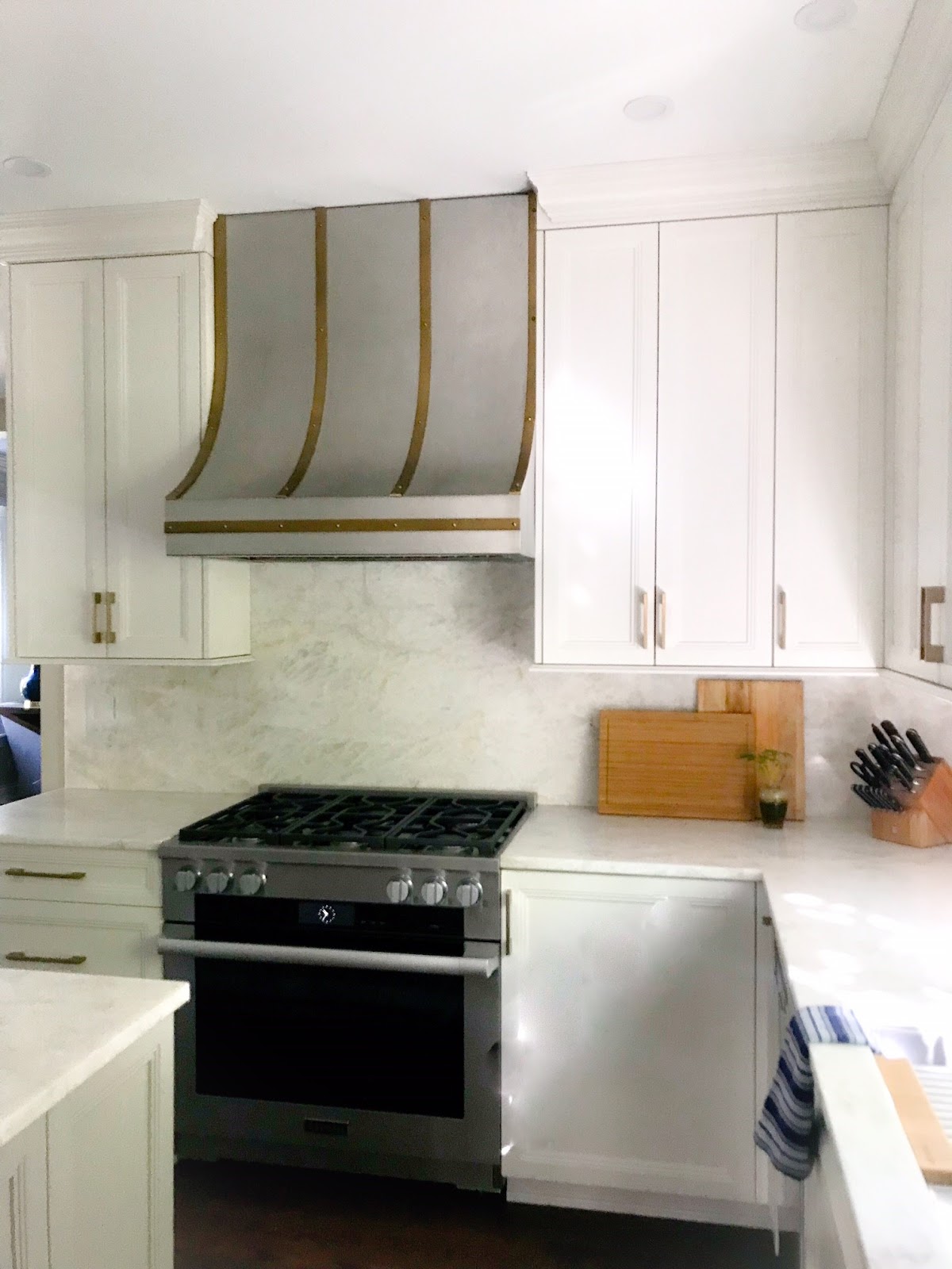 Kitchen Inspiration Photo of Miele Professional Range and Custom Hood With Best Liner