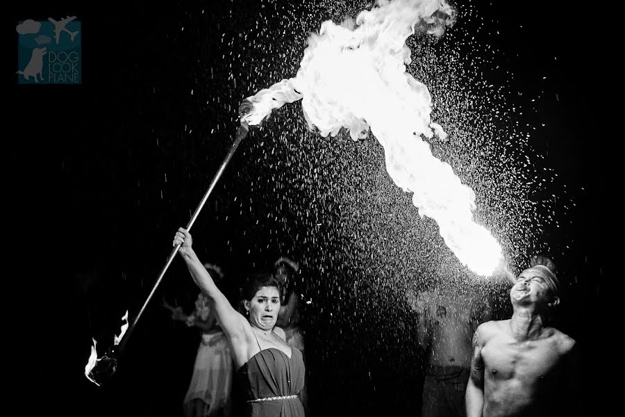 Fotógrafo de bodas Nattapol Jaroonsak (doglookplane). Foto del 8 de febrero 2018