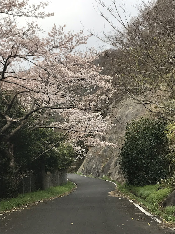 の投稿画像8枚目