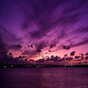 Purple Evening
