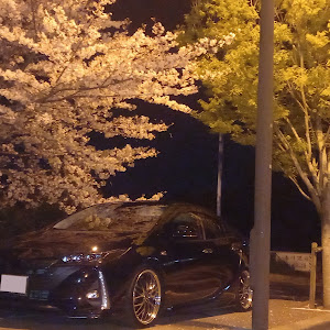 プリウスPHV ZVW52