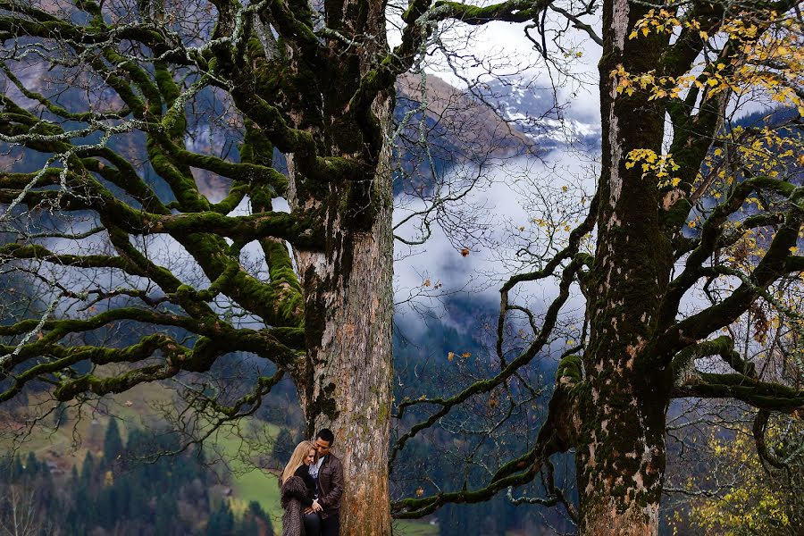 Fotógrafo de casamento Andrey Sinenkiy (sinenkiy). Foto de 6 de novembro 2017