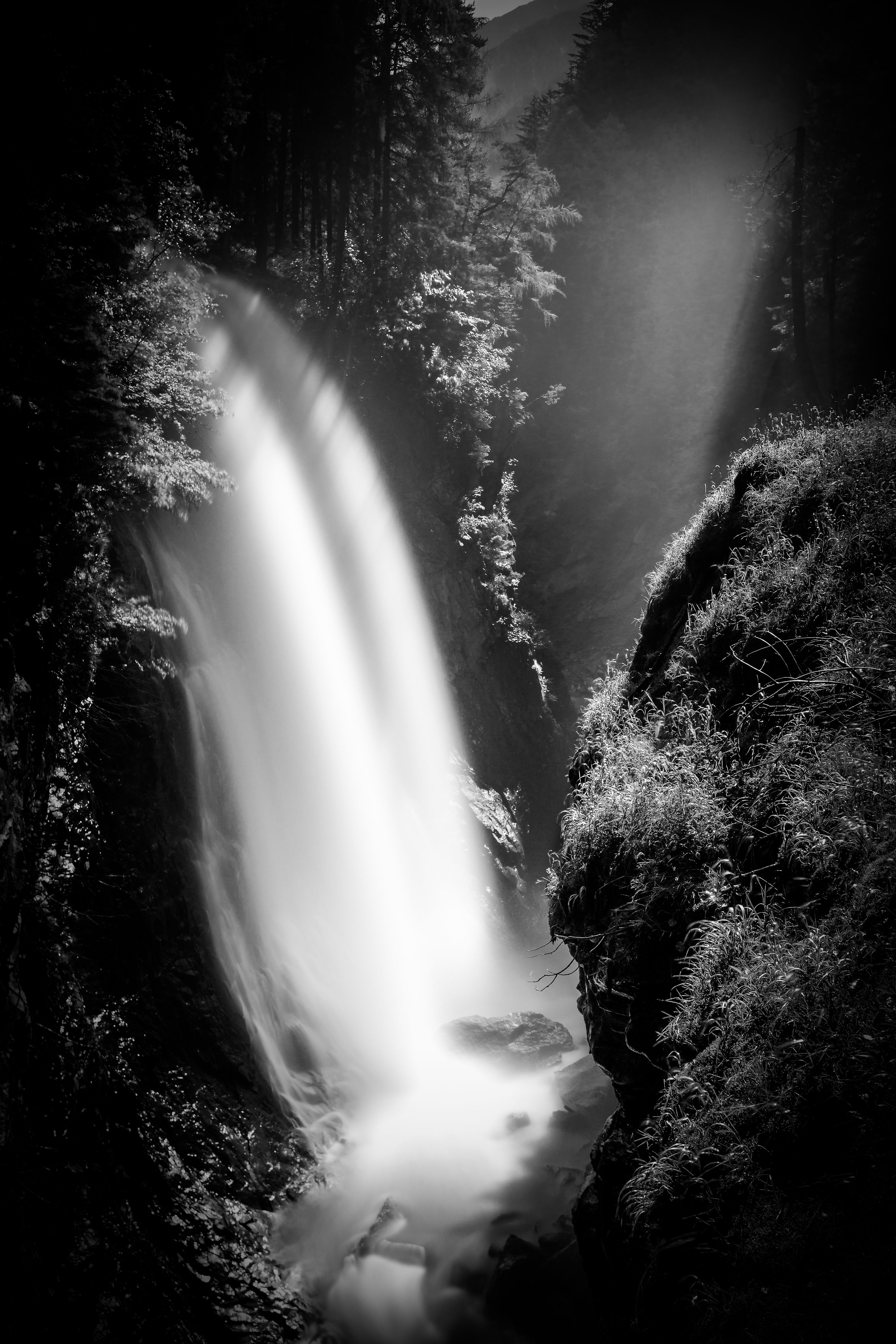 ACQUA e LUCE di Pitta - 2018