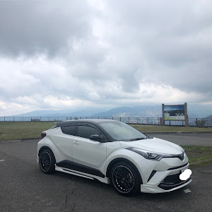 C-HR ZYX10